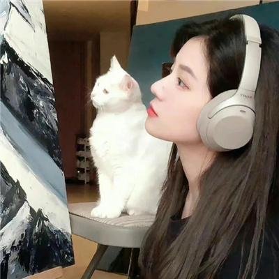 梦寻桃花源